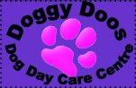 Doggy Doos Dog Day Care Centre